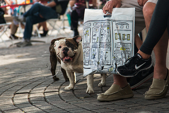 Lake Worth Street Painting Festival 2015