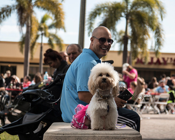 Lake Worth Street Painting Festival 2015