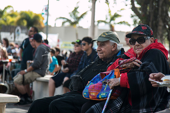 Lake Worth Street Painting Festival 2015