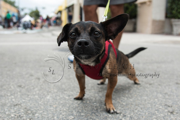 Lake Worth Street Painting Festival 2015